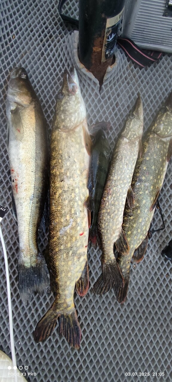 Гостиница Любовь Осташков-50